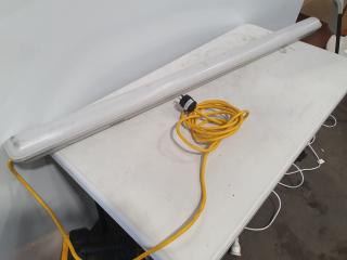 Plug in Fluorescent Light