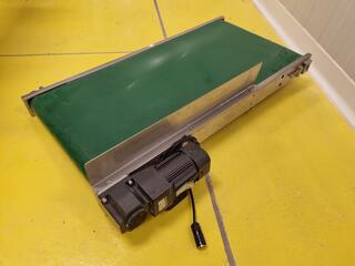 Stainless Single Phase Conveyor Belt Assembly, 1000mm length