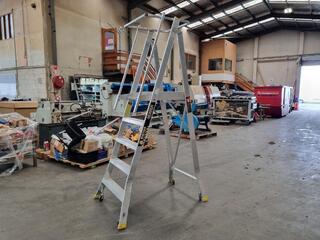 Warthog Weldladder Folding Platform Ladder by Easy Access Co