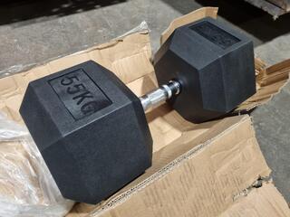 55kg Hex Rubber Dumbell by XLR8