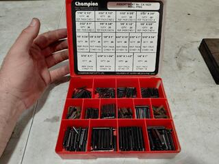 Champion Assortment Roll Pins