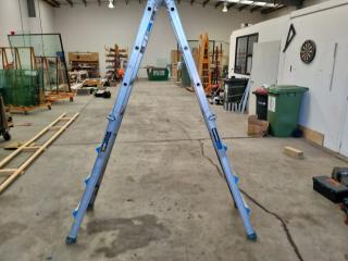 Easy Access Telescoping Ladder