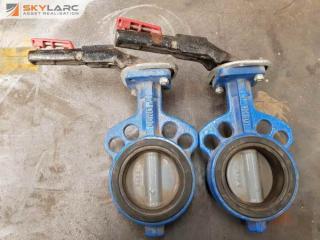 2 x DN80 Butterfly Valves