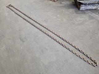 5-Metre Lifting Chain Assembly