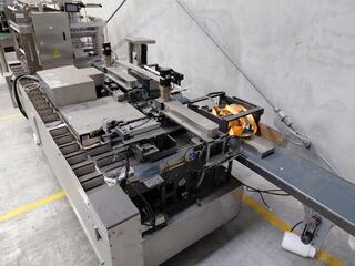 Automated Stainless Steel Conveyor and Packing Machine