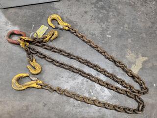 2-Leg Lifting Chain Assembly, 2800kg max capacity