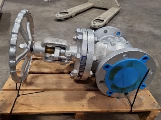 Neway 100mm Flanged Gate Valve