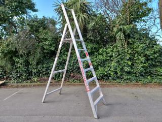 Ulrich Aluminium Platform Ladder