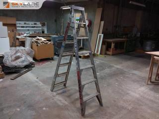 Bailey industrial aluminum ladder