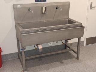 Stainless steel double tap wash trough