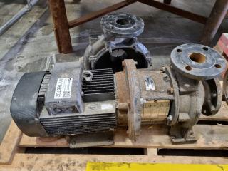3-Phase Electric Motor w/ Gearbox & 2x Pump Housings