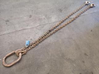 4.2T Multi Leg Lifting Chain