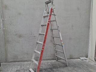 Werner Aluminium Stepladder