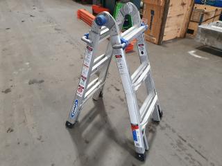 Warner Telescopic Ladder