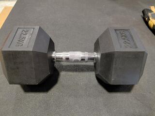 22.5kg Dumbbell