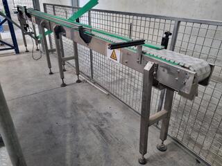 Conveyor Belt Assembly, 4050mm length