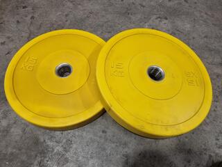 2x 15kg Coloured Bumper Weight Plates by XLR8