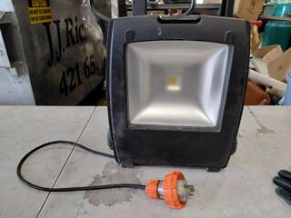 Robus RP50LEDF45-04 50W LED Floodlight