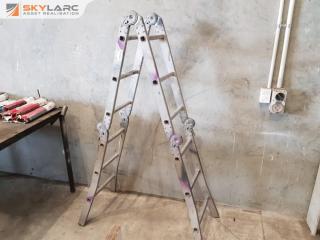 Dofair Transforming Ladder