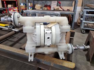 Wilden 25mm AODD Pump P200