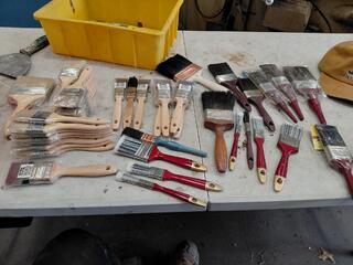 Assorted Paint Brushes Lot