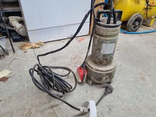 Lowara Single Phase Stainless Steel Water Pump