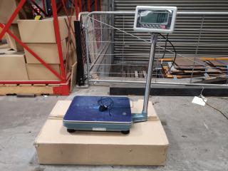 300kg Capacity Industrial Digital Floor Scale