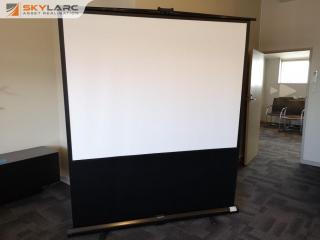 Portable Retractable Projection Video Screen