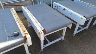 1300mm Conveyor