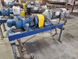 Viking Industrial Pump Assembly w/ SEW Eurodrive Motor & Reduction Box