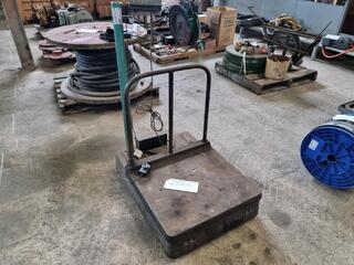 Digital Platform Industrial Scale, 250kg Capacity