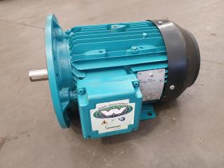 Brook Crompton AC Motor