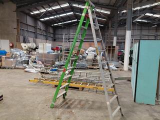 Ullrich Aluminium 2.9m Ladder
