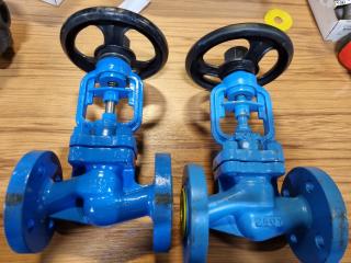 2 x Valves