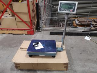 300kg Capacity Industrial Digital Floor Scale