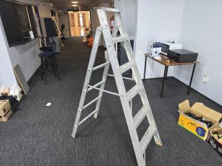 Alco Aluminum Ladder