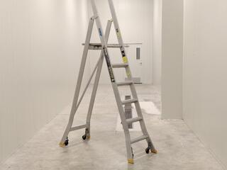 Easy Access Warthog Welded Ladder 