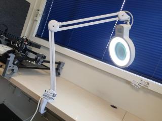 Magnifier Desk Lamp