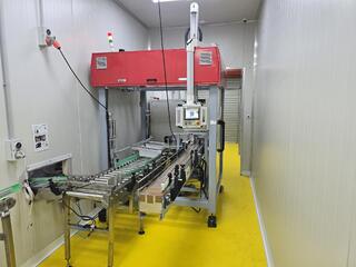 Fully Auto Case Packer