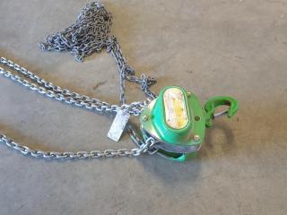 Pacific Chain Hoist 1 Ton Chain Hoist