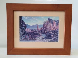 KAWARAU GORGE framed print - Peter Morath