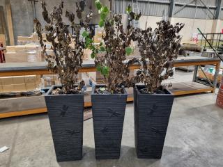 3x Large Plant Pots