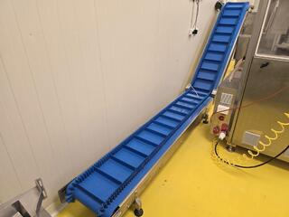 Inclined Food Grade Conveyor with Control Panel