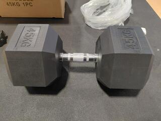 45kg Dumbbell