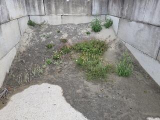 Pile of Light Gray Sand