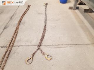 2 Leg Lifting Chain