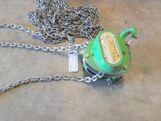 Pacific Chain Hoist 1 Ton Chain Hoist