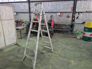 Aluminium Step/Extension Combination Ladder