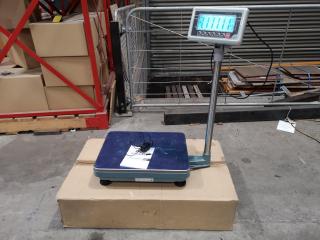 300kg Capacity Industrial Digital Floor Scale