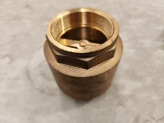 50mm Brass Check Valve